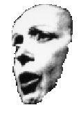 piaf.gif (7901 octets)